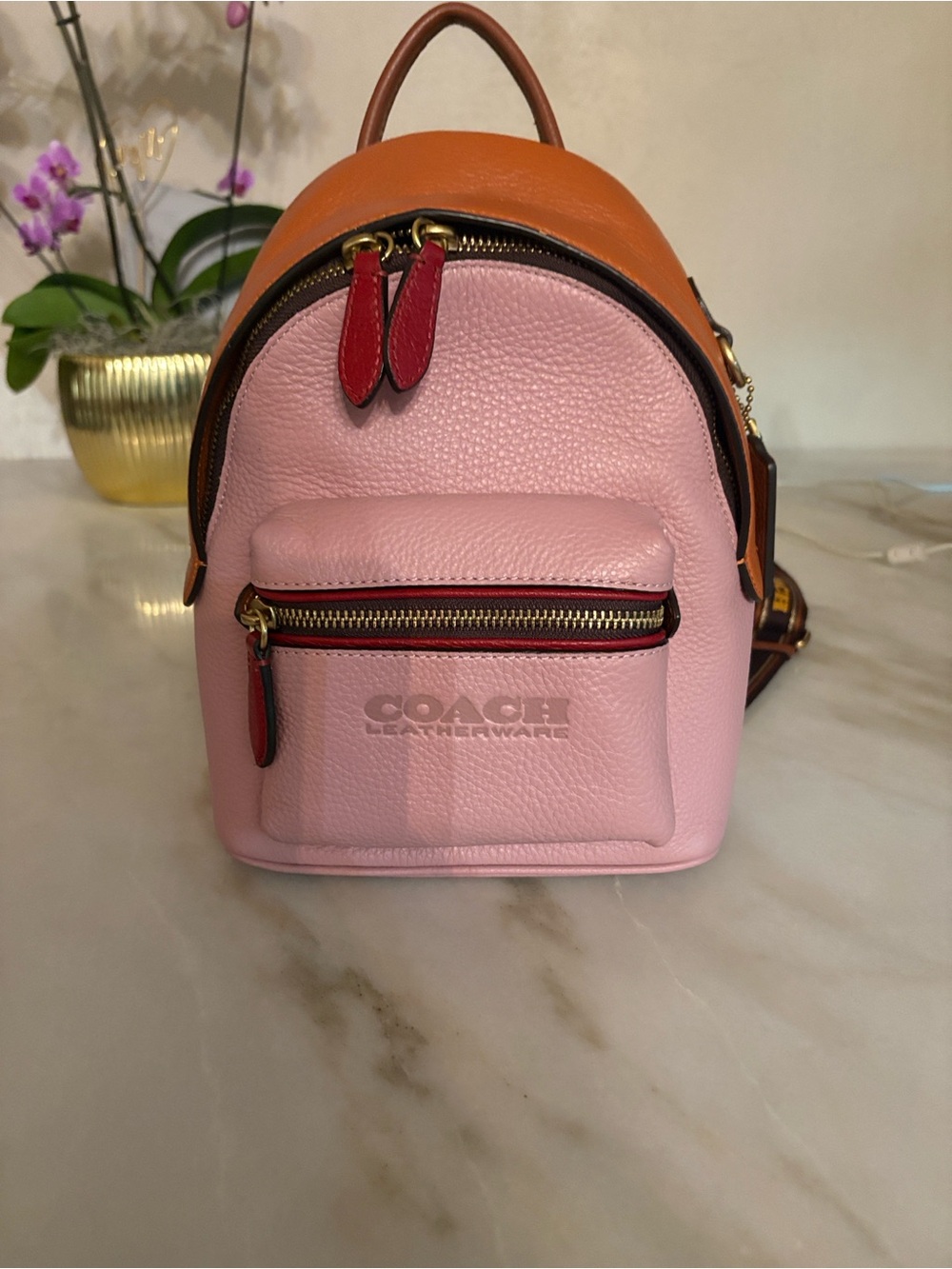 Coach Pink Leather Mini Backpack with Brown Mesh Back - Picture 2 of 5